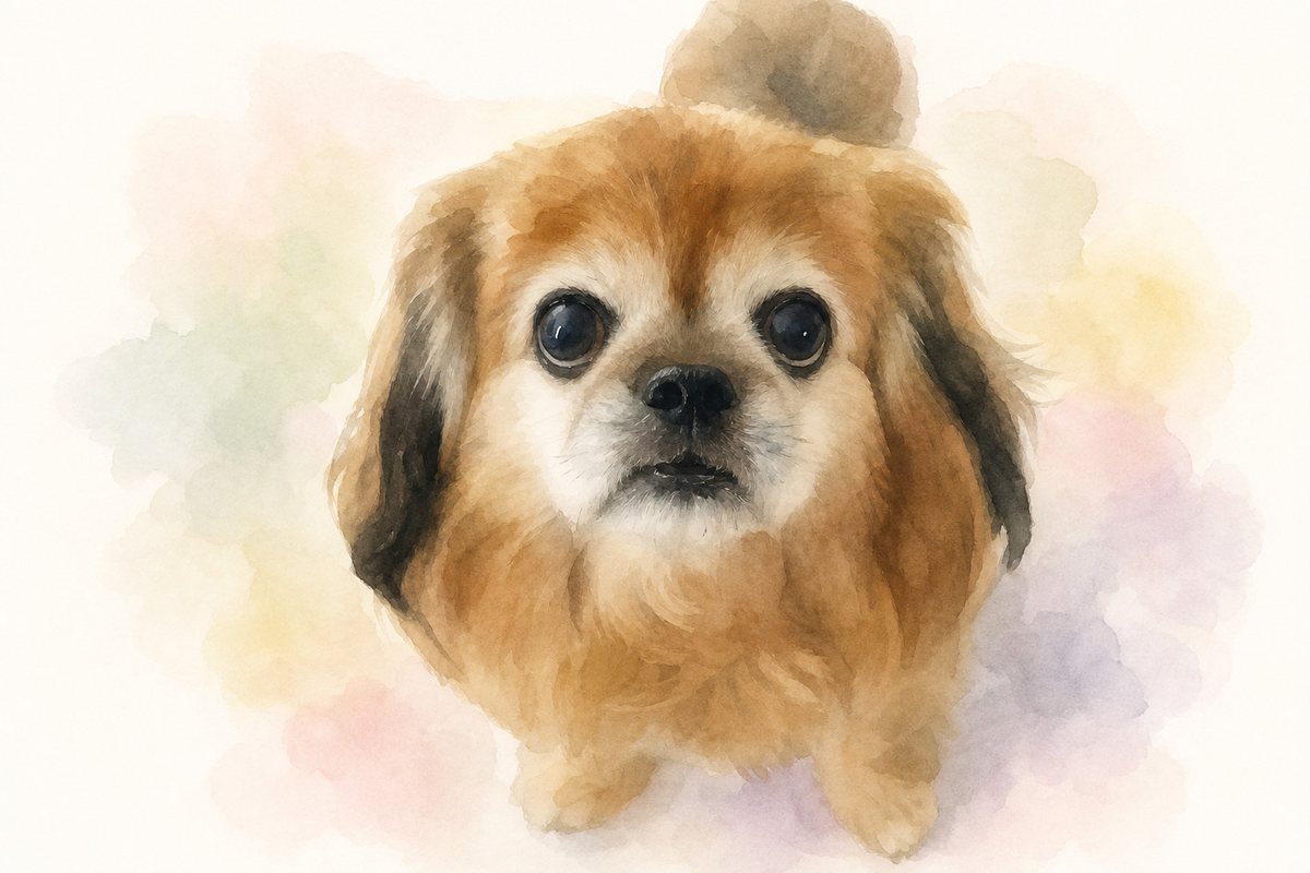 水彩風で描いたチワワのイラスト