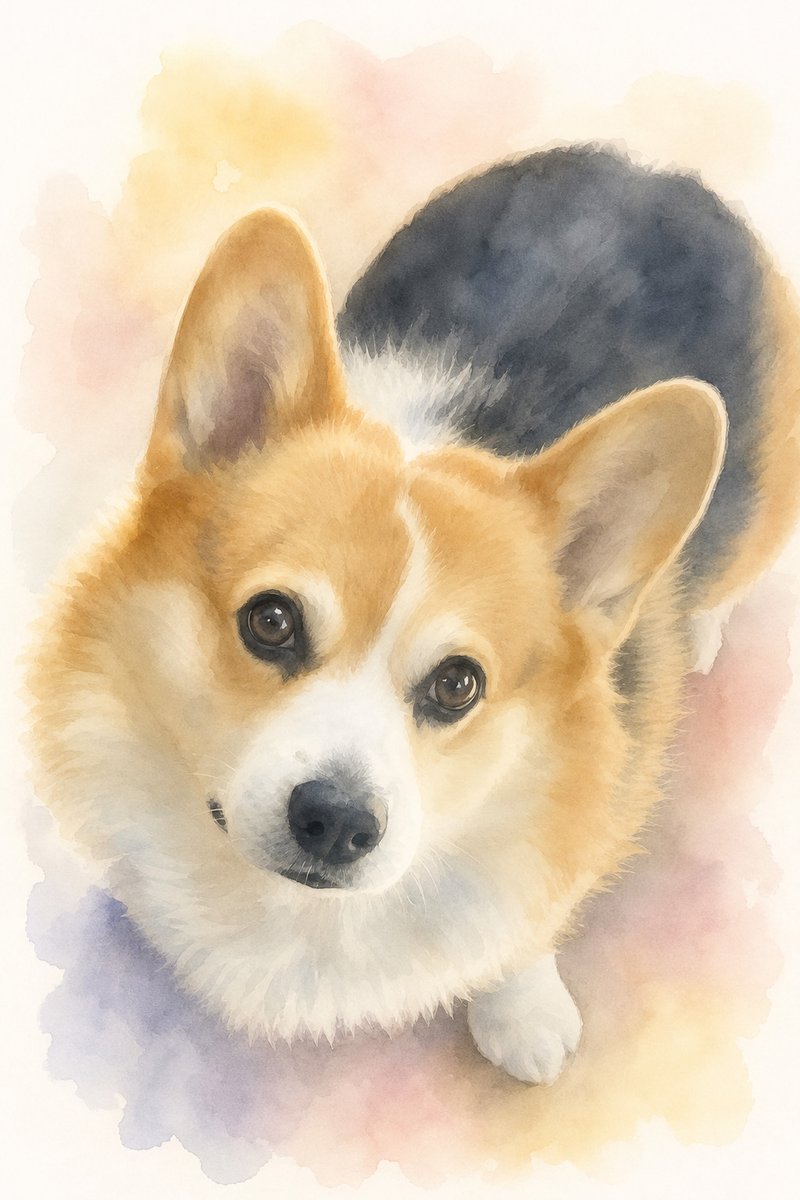 コーギーの水彩風イラスト作例5