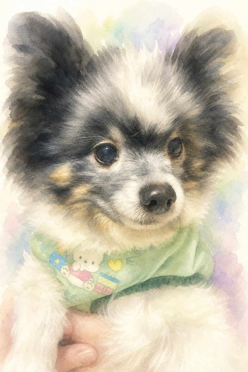 パピヨンの水彩風イラスト作例6